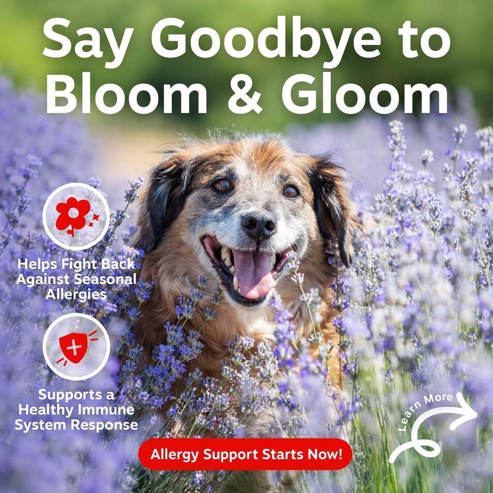 Zesty Paws Allergy & Immune Bites for Dogs – New (90 Soft Chews) Exp 2027 - Picture 2 of 6